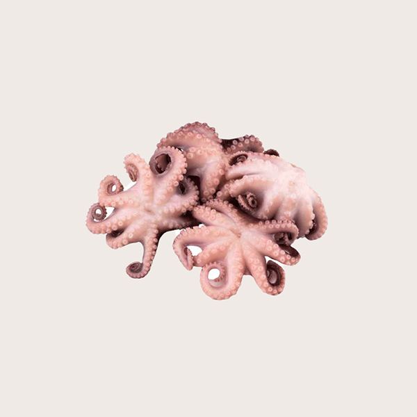 Восьминіг Бебі 1кг 40/60