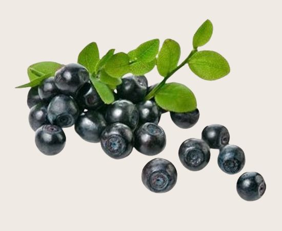 Чорниця в/г    ваг.