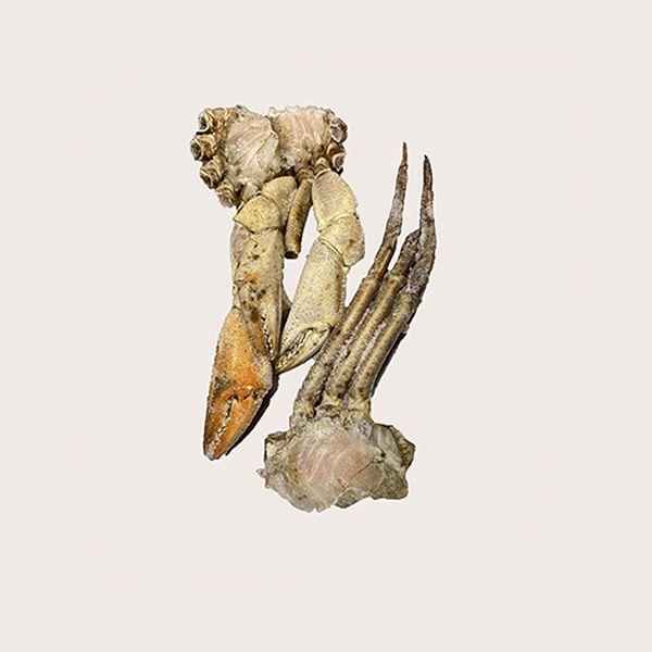 Краб кластери