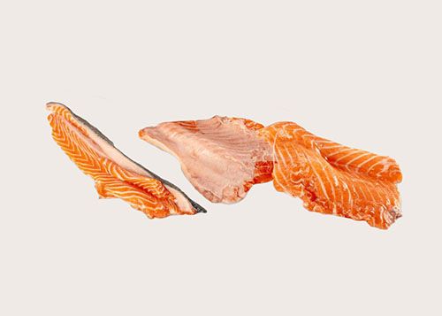 Ребра, плавники