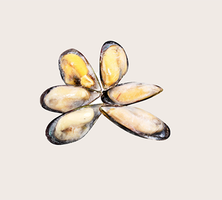 Мідії Новозеландські 800 г  у напівмушлі