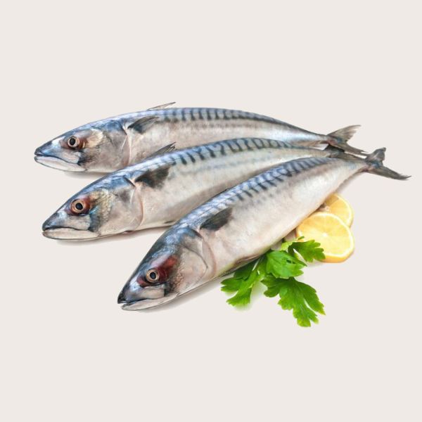 Скумбрія 400-600 з/г заморозка Скумбрія 400-600 з/г заморозка